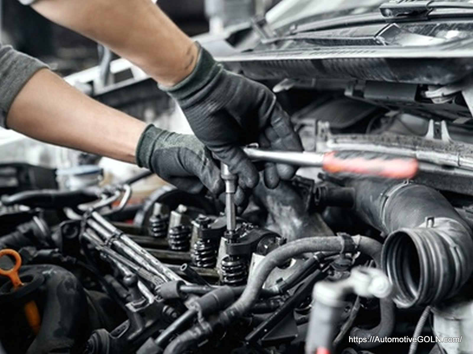 প্রাথমিক বিষয়াদি -মোটরযান আইন