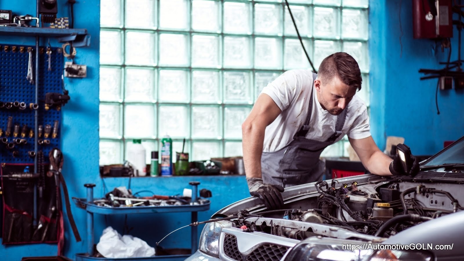 প্রাথমিক বিষয়াদি -মোটরযান আইন