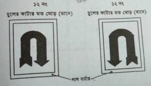 ট্রাফিক সংকেত | নবম তফসিল | মোটরযান আইন