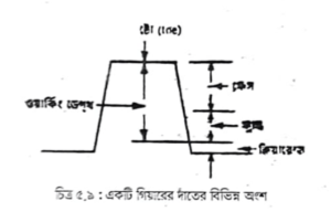 প্রোপেলার শ্যাফট বা ড্রাইভ শ্যাফট | গিয়ার বক্স বা ট্রান্সমিশন | অটোমোবিল ইঞ্জিনিয়ারিং