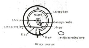 বয়লারের আনুষঙ্গিক যন্ত্রপাতি | বাষ্পীয় বয়লার বা জেনারেটর | অটোমোবিল ইঞ্জিনিয়ারিং