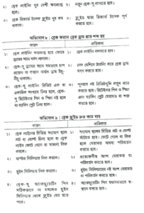 সঙ্গতিপূর্ণ ভাল্ভ | অটোমোবিল ইঞ্জিনিয়ারিং