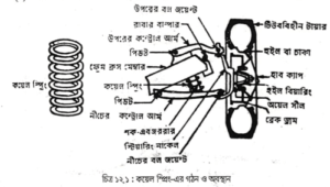 সাসপেনশন ও স্টিয়ারিং ব্যবস্থা | অটোমোবিল ইঞ্জিনিয়ারিং