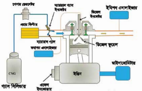 CNG, LPG, EFI পর্যবেক্ষণ করার দক্ষতা অর্জন 3 CNG, LPG, EFI পর্যবেক্ষণ করার দক্ষতা অর্জন